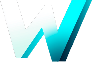 WiseFy Logo